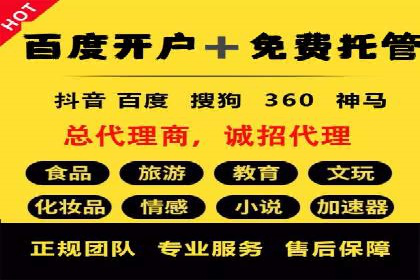 托管竞价SEM助力企业快速崛起